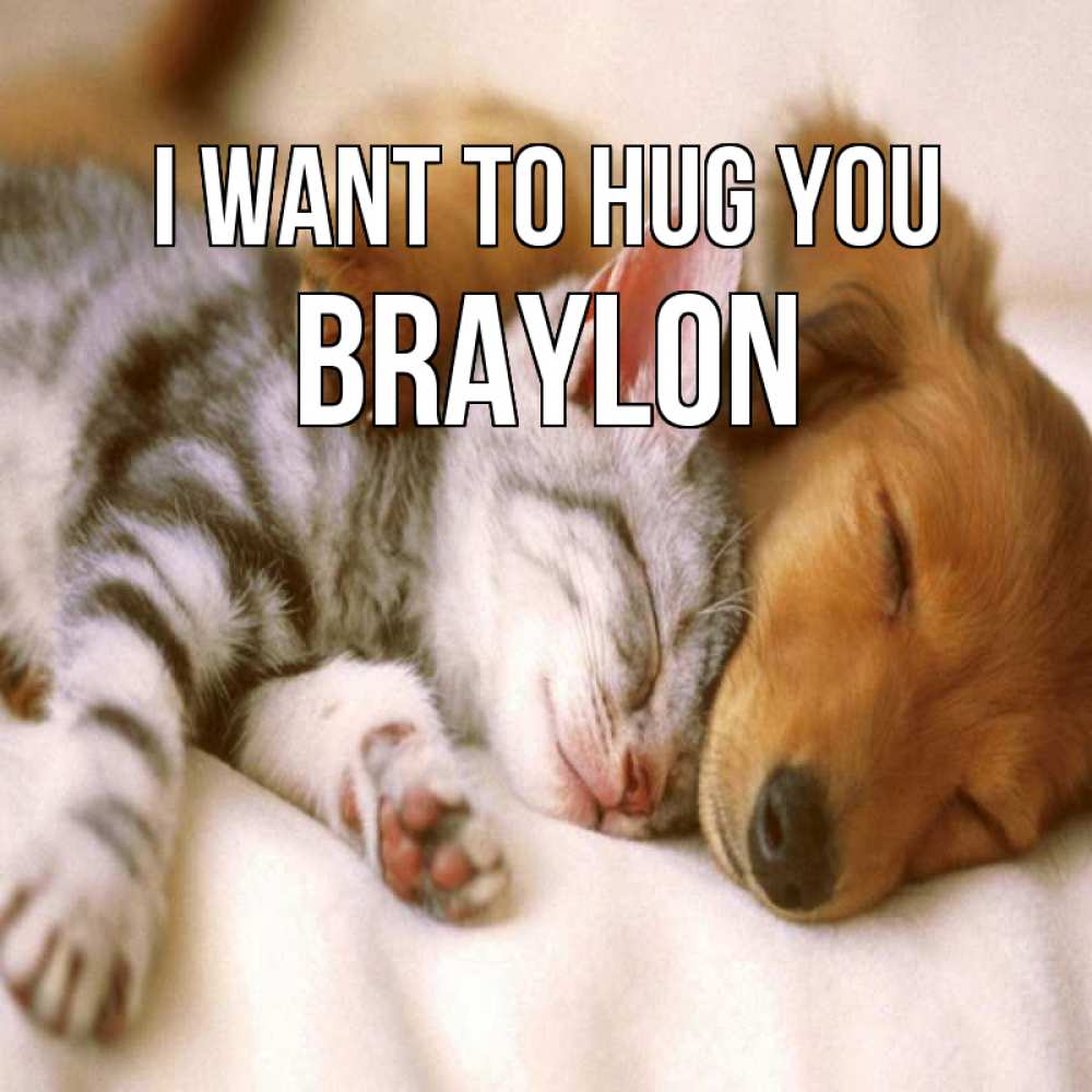 Greetings card с именем, Braylon I want to hug you пес и котенок Greetings with text for free download 