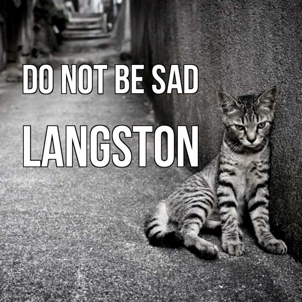 Greetings card с именем, Langston Do not be sad скучающий котик Greetings with text for free download 