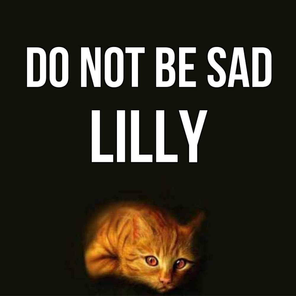 Greetings card с именем, Lilly Do not be sad лежащий кот в темноте Greetings with text for free download 