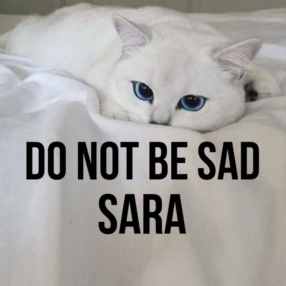 Greetings card с именем, Sara Do not be sad Голубоглазая кошка Greetings with text for free download 