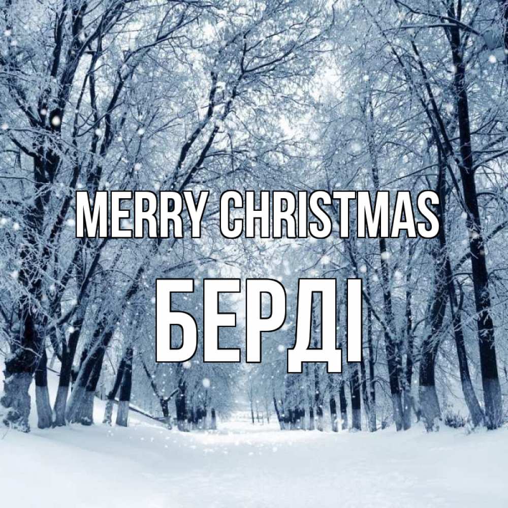 Greetings card с именем, Берді Merry Christmas снег, лес, парк Greetings with text for free download 
