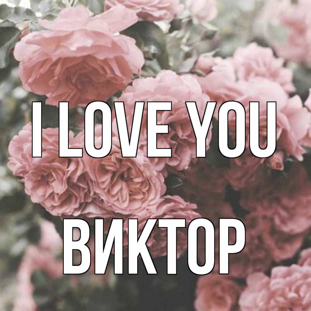 Greetings card с именем, Виктор I love you розы 3 Greetings with text for free download 