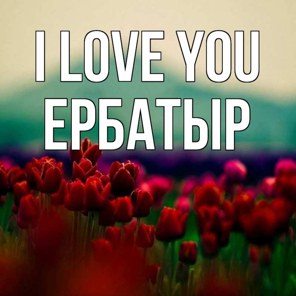 Greetings card с именем, Ербатыр I love you тюльпаны 4 Greetings with text for free download 