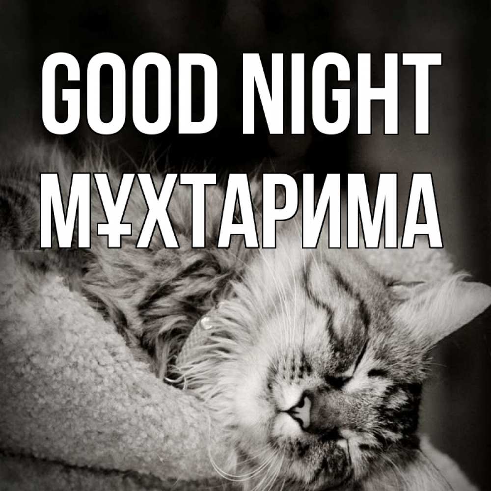 Greetings card с именем, МҰХТАРИМА Good night котярик пушистый Greetings with text for free download 