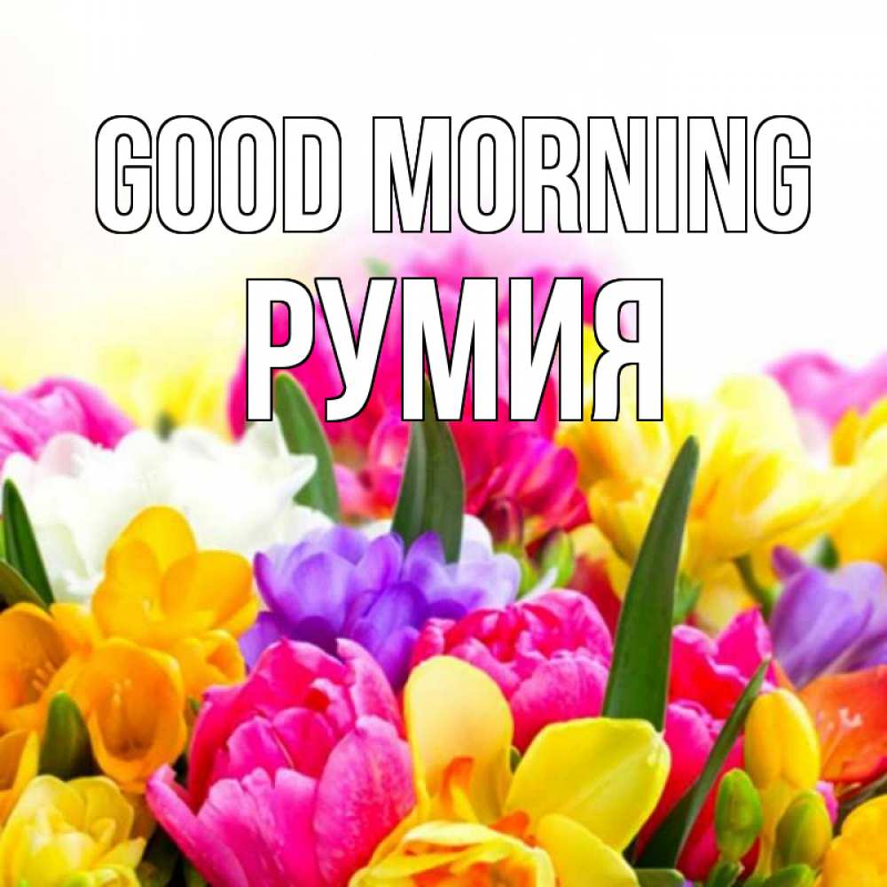 Greetings card с именем, Румия Good morning создать открытку со свое подписью Greetings with text for free download 