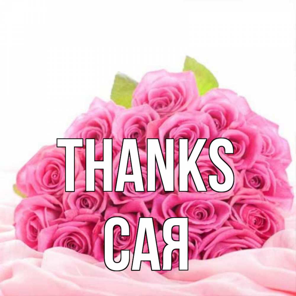 Greetings card с именем, САЯ Thanks розовые розы с подписью Greetings with text for free download 