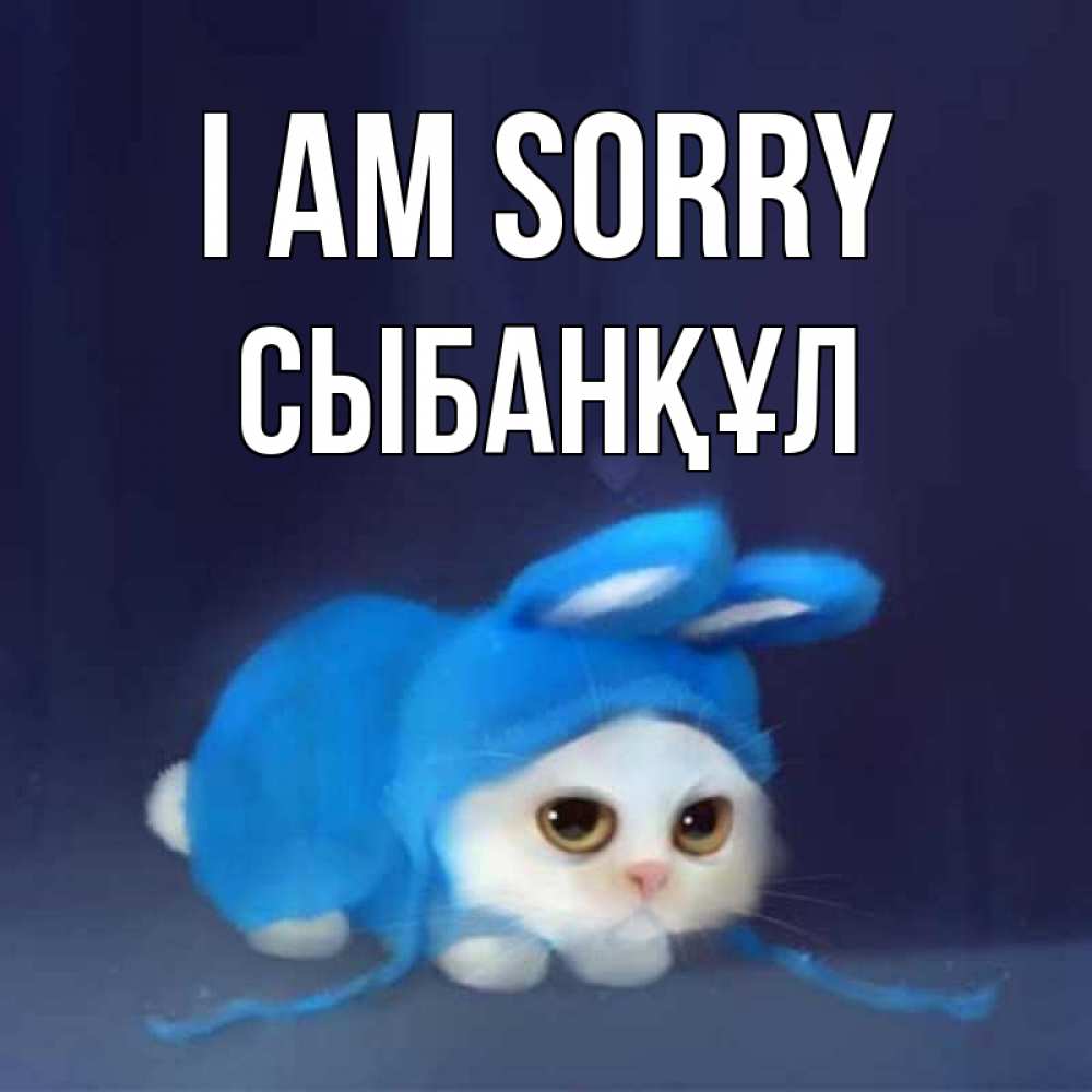 Greetings card с именем, СЫБАНҚҰЛ I am sorry невинный котозай просит прощения Greetings with text for free download 