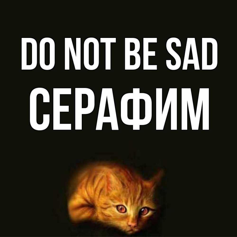 Greetings card с именем, Серафим Do not be sad лежащий кот в темноте Greetings with text for free download 