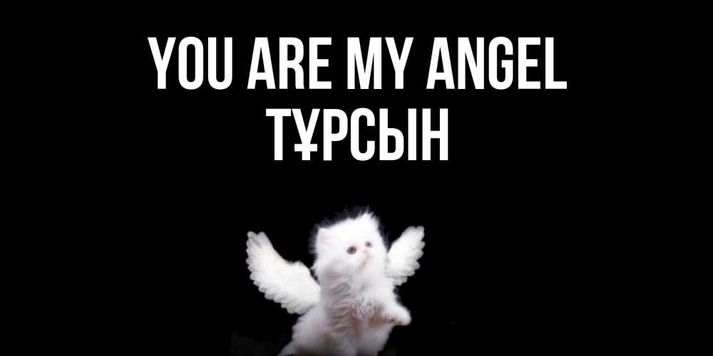 Greetings card с именем, ТҰРСЫН You are my angel Кот ангел Greetings with text for free download 