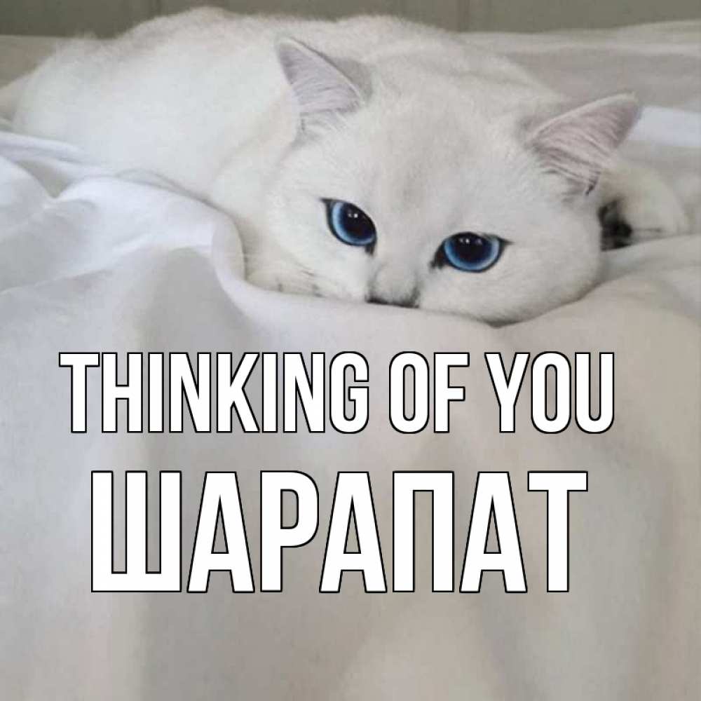 Greetings card с именем, ШАРАПАТ Thinking of you я очень по тебе скучаю и тоскую Greetings with text for free download 
