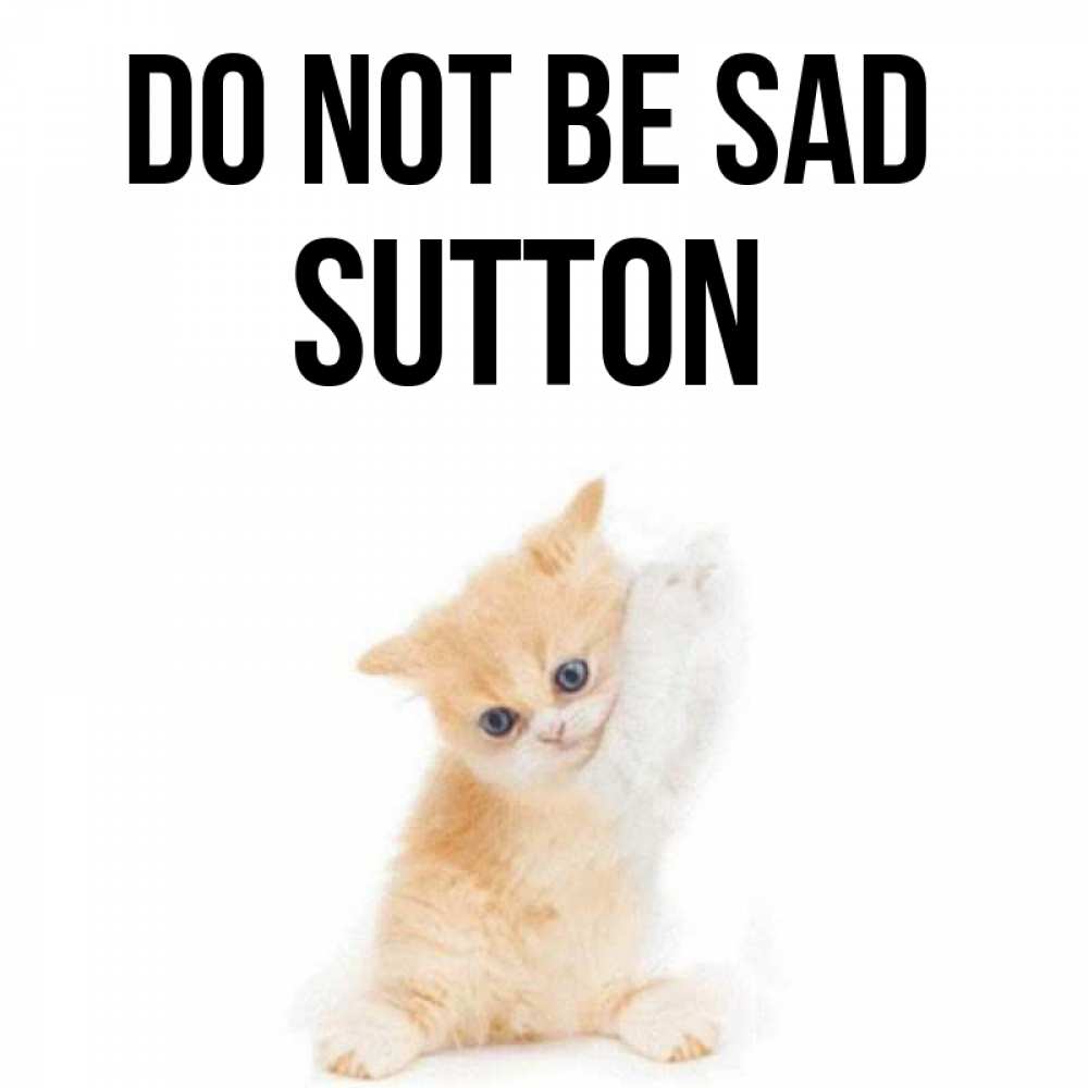 Greetings card с именем, Sutton Do not be sad просящий кот Greetings with text for free download 