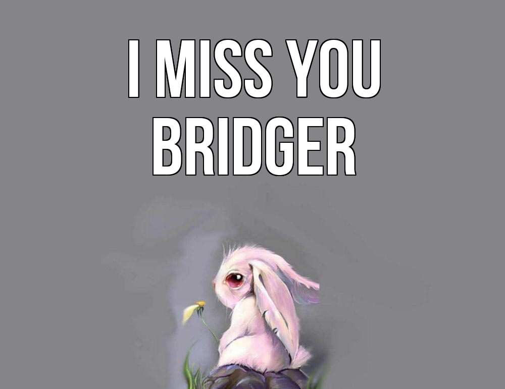 Greetings card с именем, Bridger I miss you заяц Greetings with text for free download 