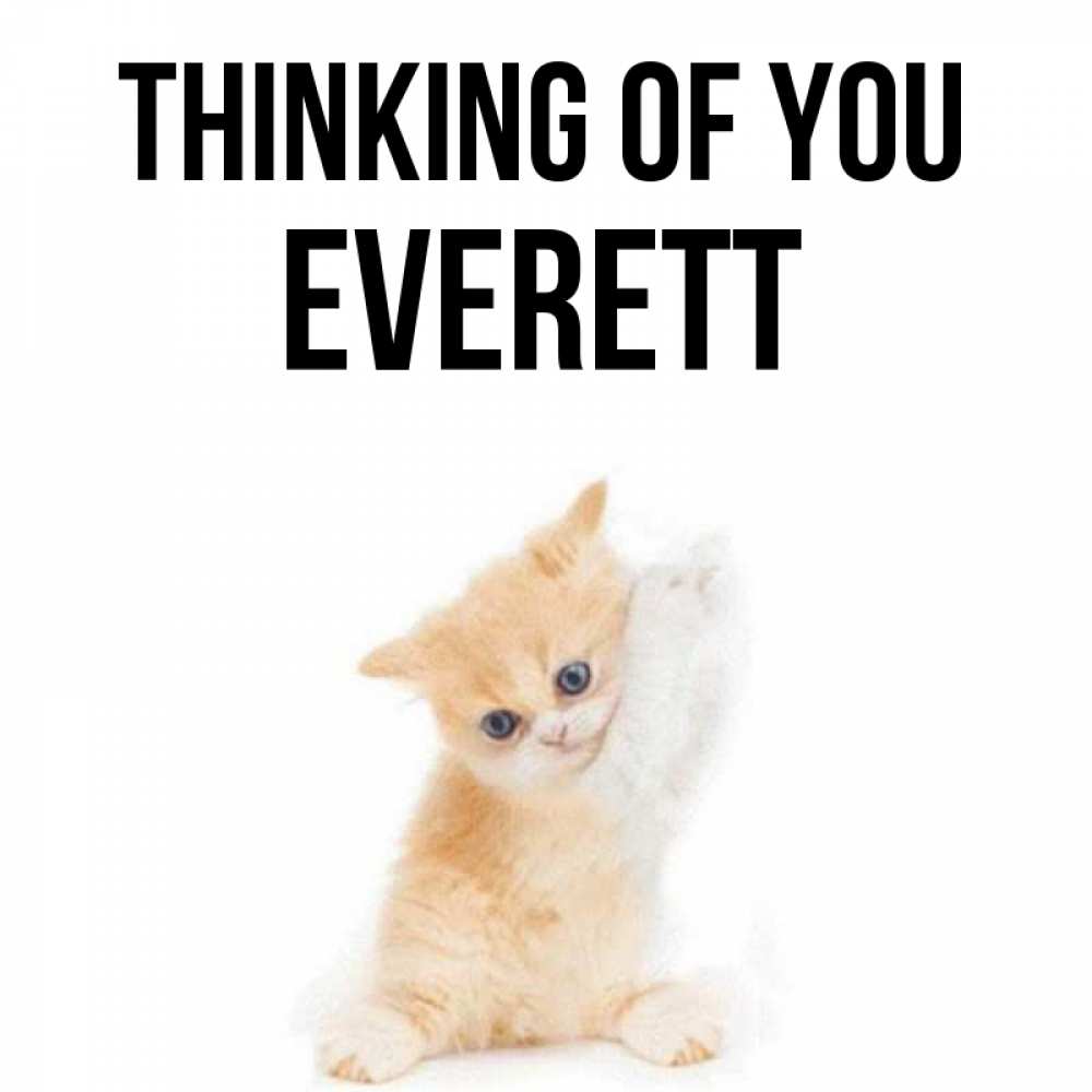 Greetings card с именем, Everett Thinking of you зверушки и милота Greetings with text for free download 