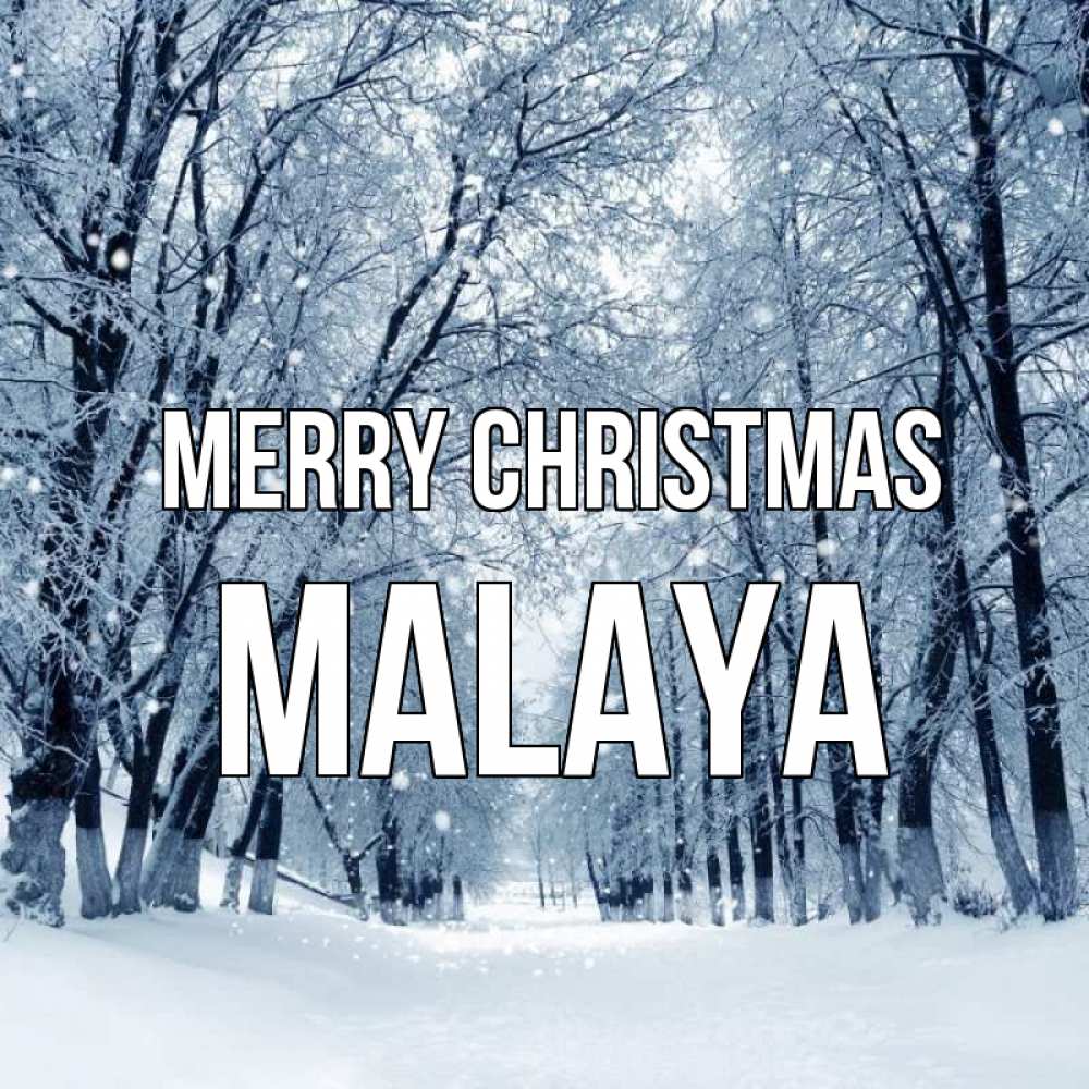 Greetings card с именем, Malaya Merry Christmas снег, лес, парк Greetings with text for free download 