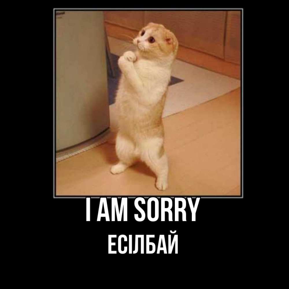 Greetings card с именем, Есілбай I am sorry открытка с милым несчастным котиком просящим прощения Greetings with text for free download 