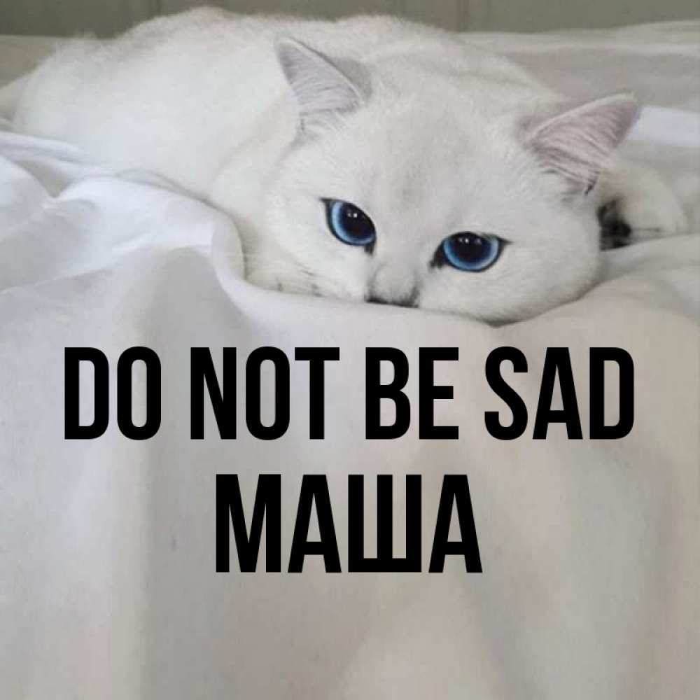 Greetings card с именем, Маша Do not be sad Голубоглазая кошка Greetings with text for free download 