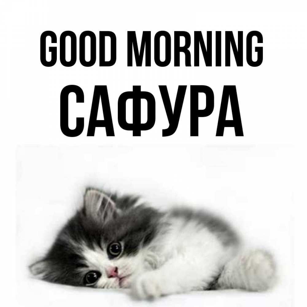 Greetings card с именем, САФУРА Good morning кот лапки Greetings with text for free download 