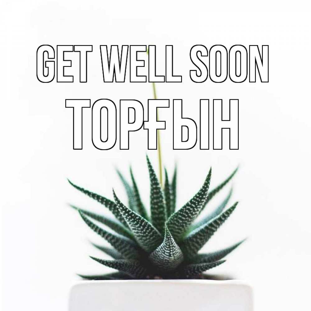 Greetings card с именем, ТОРҒЫН Get well soon короче это непонятная колючка Greetings with text for free download 