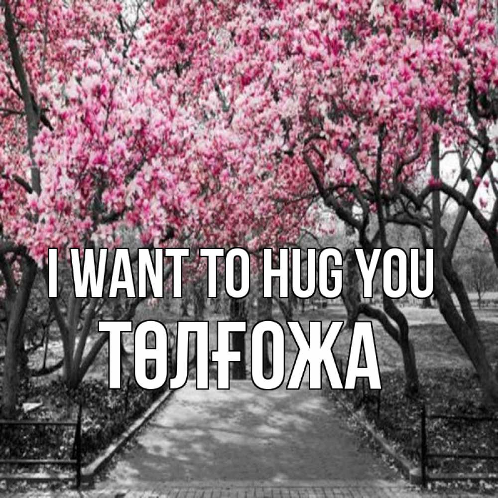 Greetings card с именем, ТӨЛҒОЖА I want to hug you обработанное фото Greetings with text for free download 