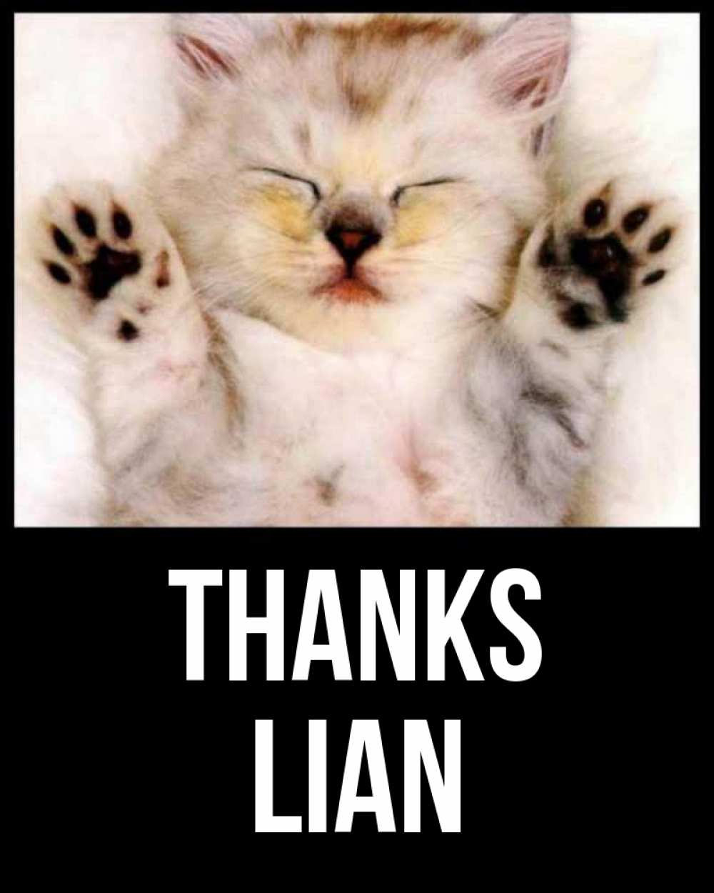 Greetings card с именем, Lian Thanks маленький котенок Greetings with text for free download 