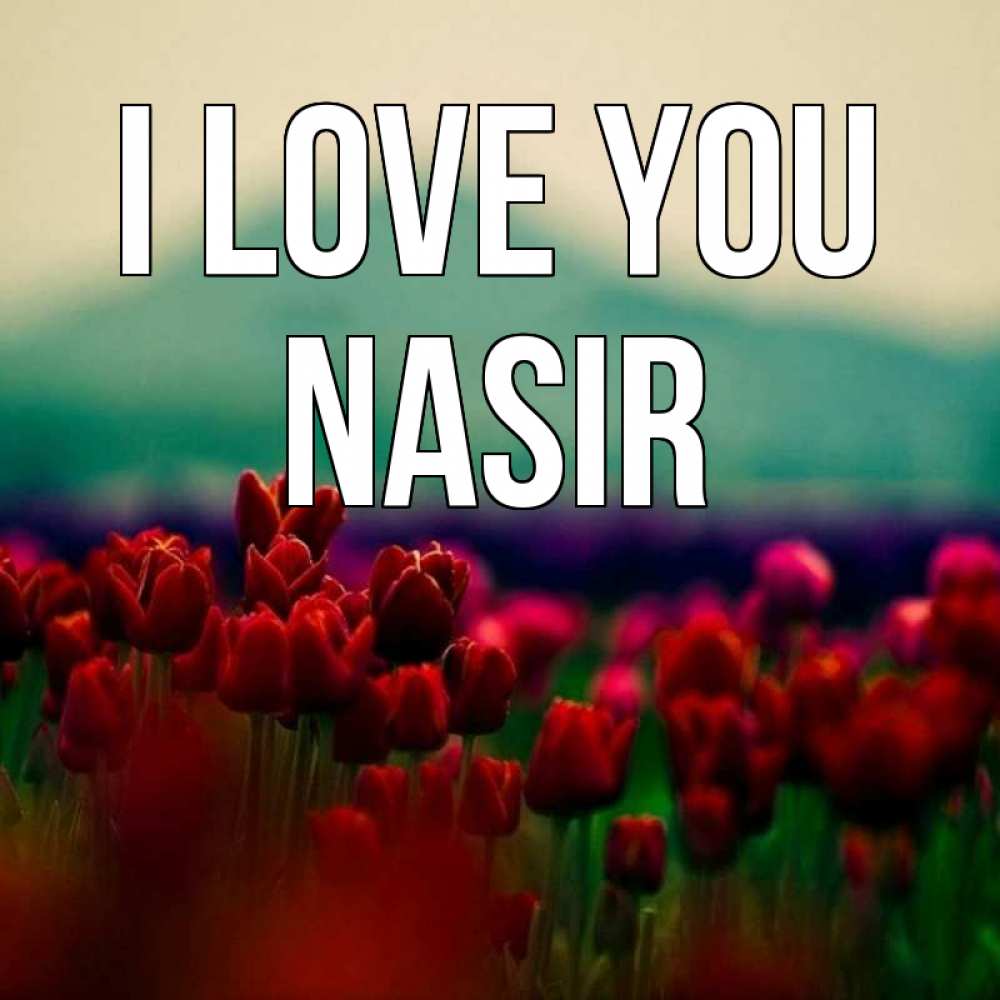 Greetings card с именем, Nasir I love you тюльпаны 4 Greetings with text for free download 