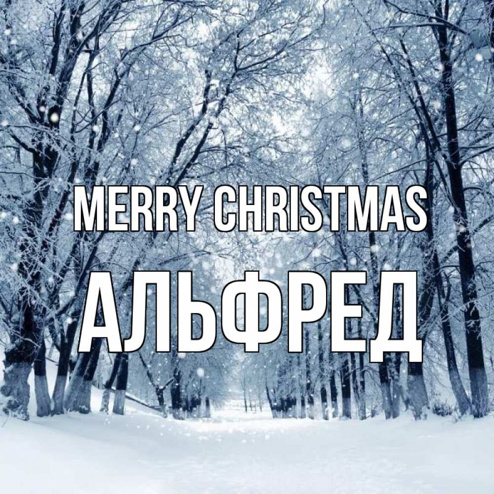 Greetings card с именем, Альфред Merry Christmas снег, лес, парк Greetings with text for free download 