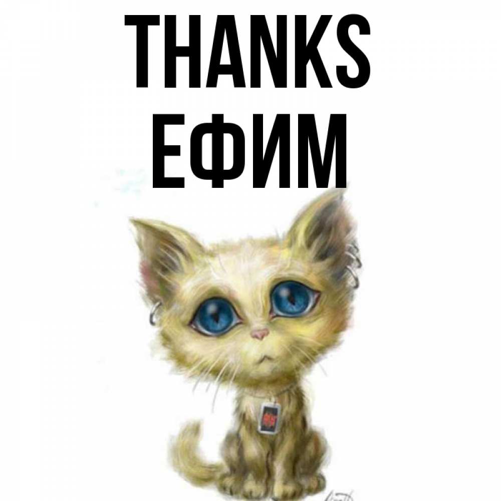 Greetings card с именем, Ефим Thanks рисованный кот благодарит вас Greetings with text for free download 