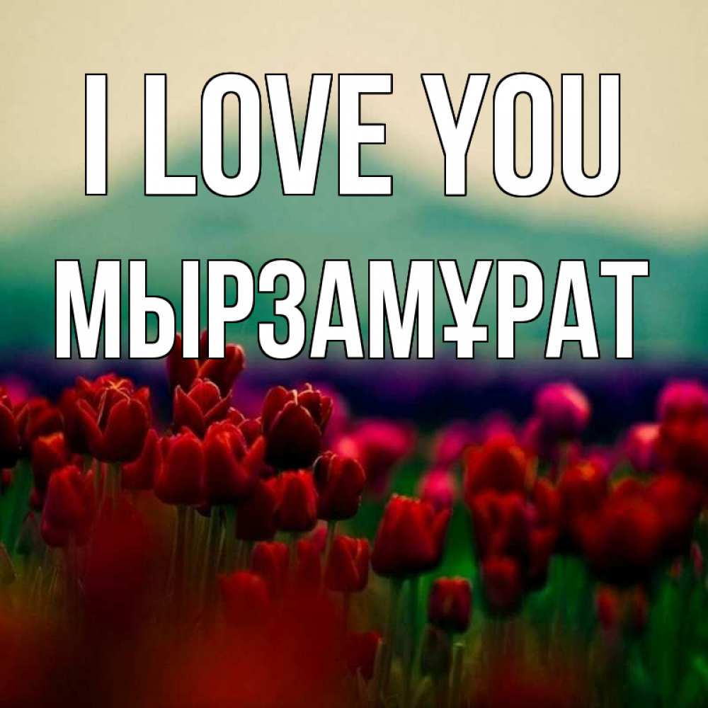 Greetings card с именем, Мырзамұрат I love you тюльпаны 4 Greetings with text for free download 