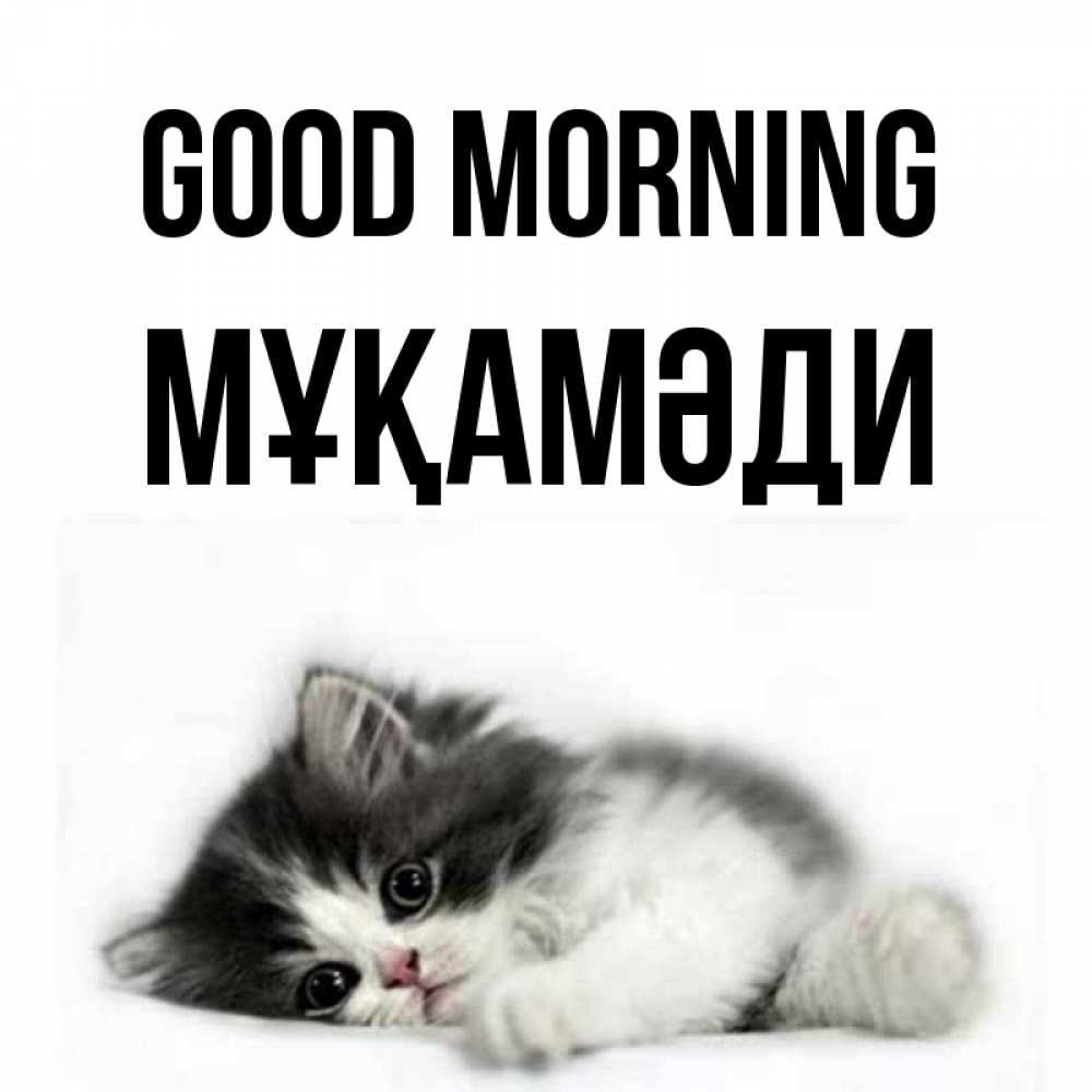 Greetings card с именем, МҰҚАМӘДИ Good morning кот лапки Greetings with text for free download 