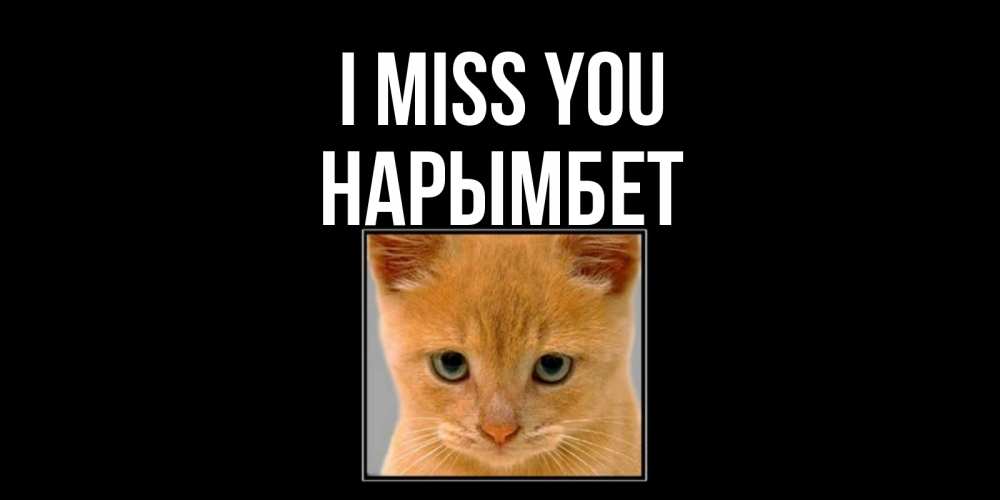 Greetings card с именем, Нарымбет I miss you открытки рыжий котенок скучает по тебе Greetings with text for free download 