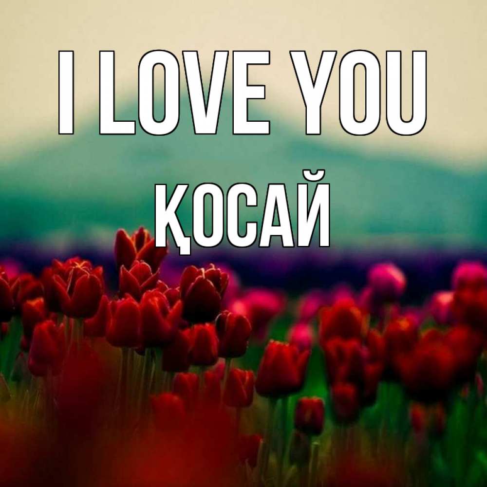 Greetings card с именем, ҚОСАЙ I love you тюльпаны 4 Greetings with text for free download 