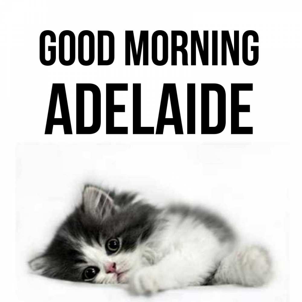 Greetings card с именем, Adelaide Good morning кот лапки Greetings with text for free download 