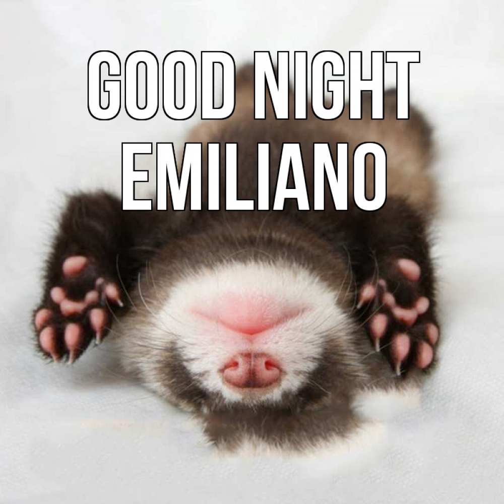 Greetings card с именем, Emiliano Good night зверек Greetings with text for free download 