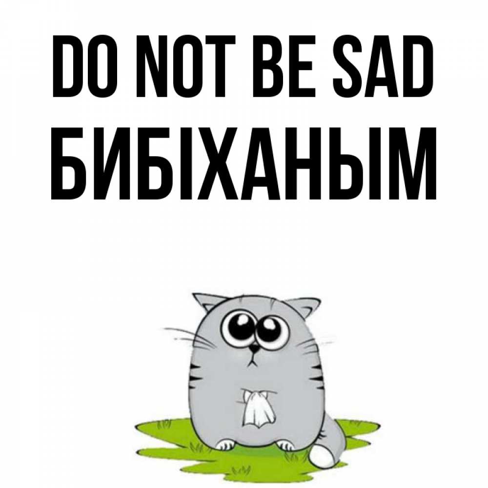 Greetings card с именем, БИБІХАНЫМ Do not be sad грустный котяра Greetings with text for free download 