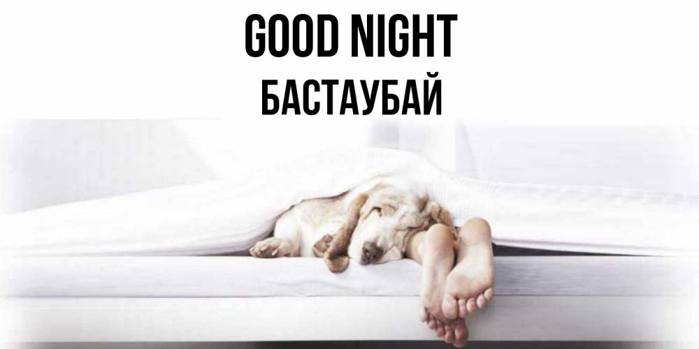 Greetings card с именем, Бастаубай Good night кровать с собакой пожелание сладких снов и спокойной ночи Greetings with text for free download 