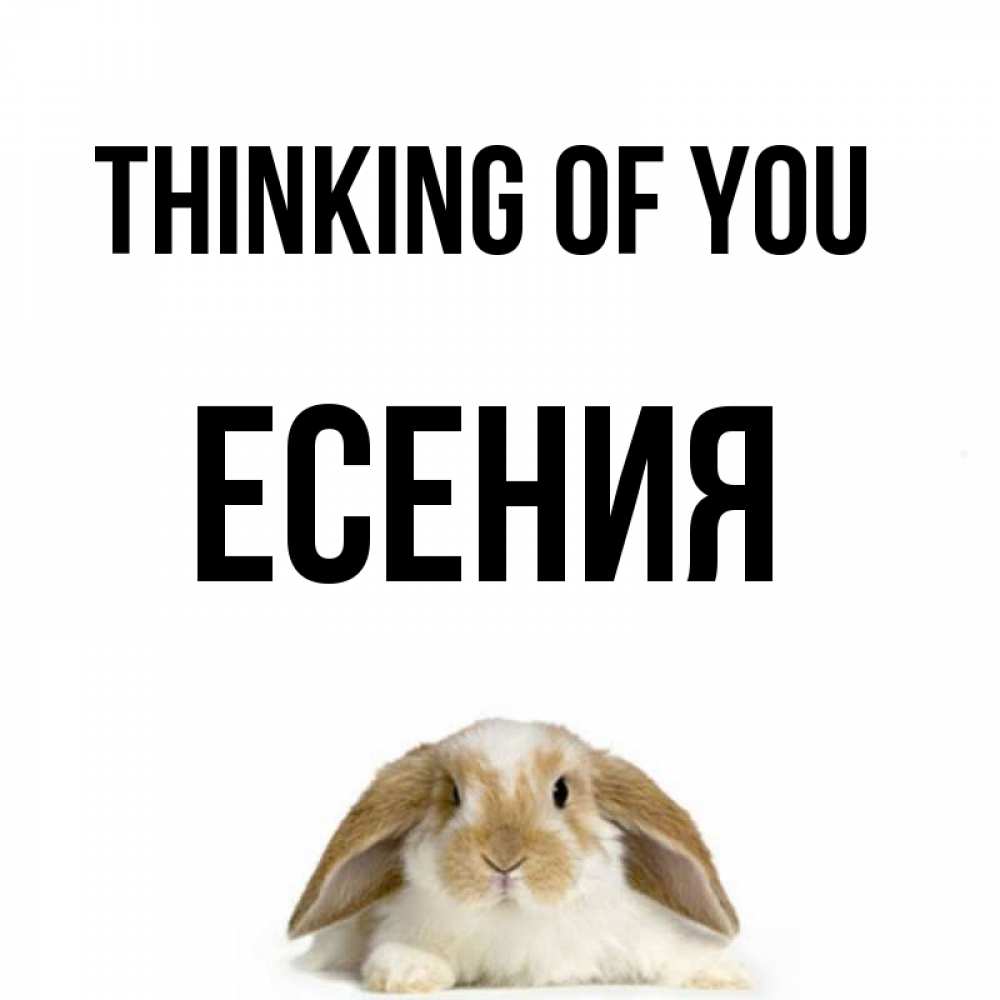 Greetings card с именем, Есения Thinking of you подписать своими руками онлайн Greetings with text for free download 