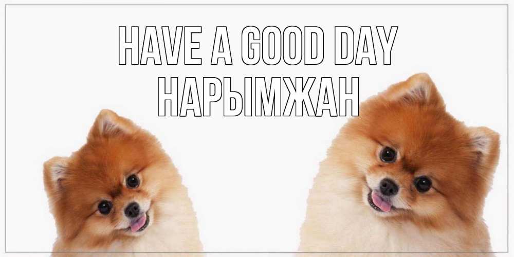 Greetings card с именем, НАРЫМЖАН Have a good day собачки желают прекрасного дня Greetings with text for free download 