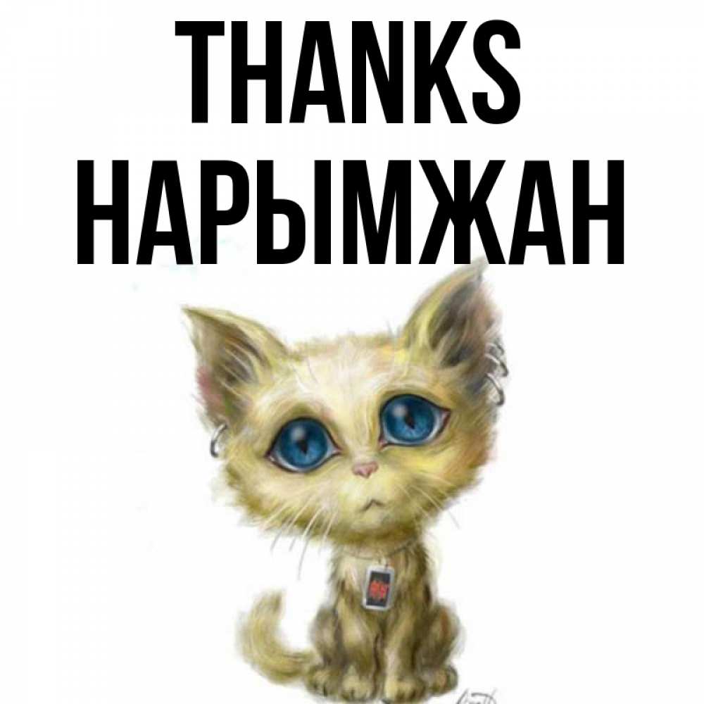 Greetings card с именем, НАРЫМЖАН Thanks рисованный кот благодарит вас Greetings with text for free download 
