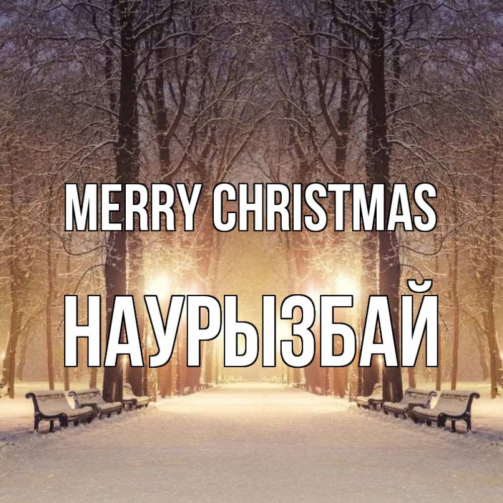 Greetings card с именем, Наурызбай Merry Christmas зима, парк, фонарь, лес Greetings with text for free download 