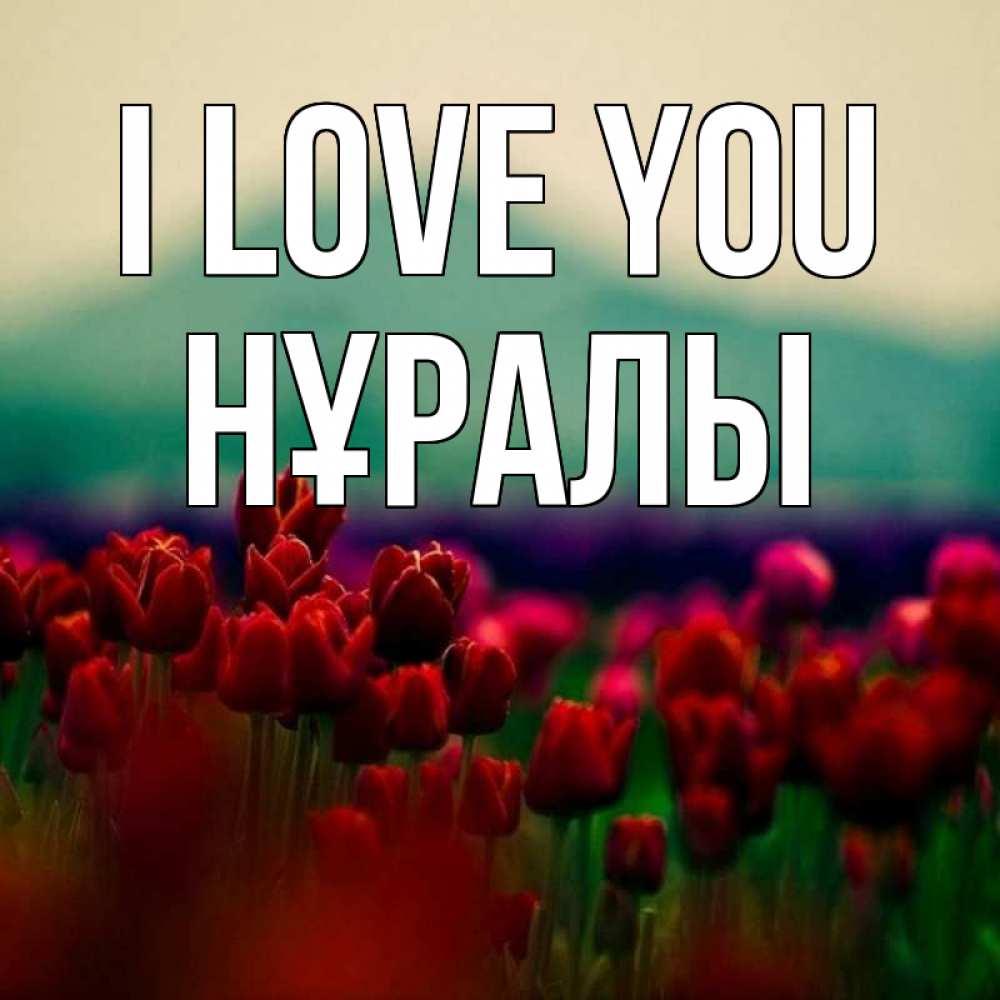Greetings card с именем, НҰРАЛЫ I love you тюльпаны 4 Greetings with text for free download 