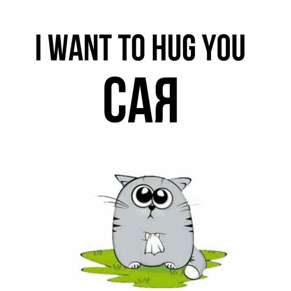 Greetings card с именем, САЯ I want to hug you котик теребит платочек сидя на травке Greetings with text for free download 