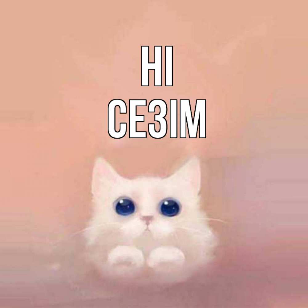 Greetings card с именем, СЕЗІМ Hi котик белый в полете Greetings with text for free download 