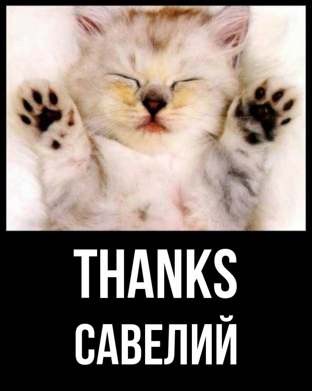 Greetings card с именем, Савелий Thanks маленький котенок Greetings with text for free download 