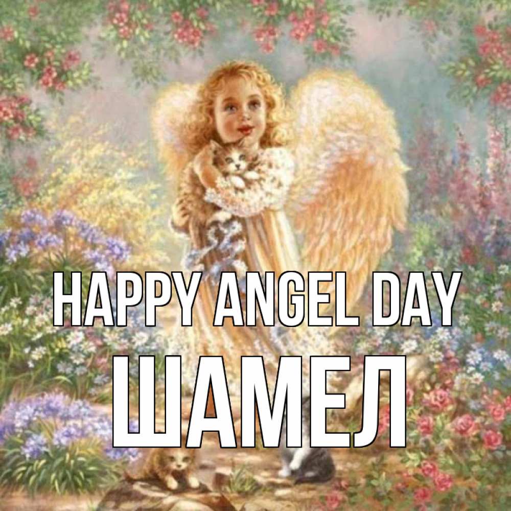 Greetings card с именем, ШАМЕЛ happy angel day держит котенка Greetings with text for free download 