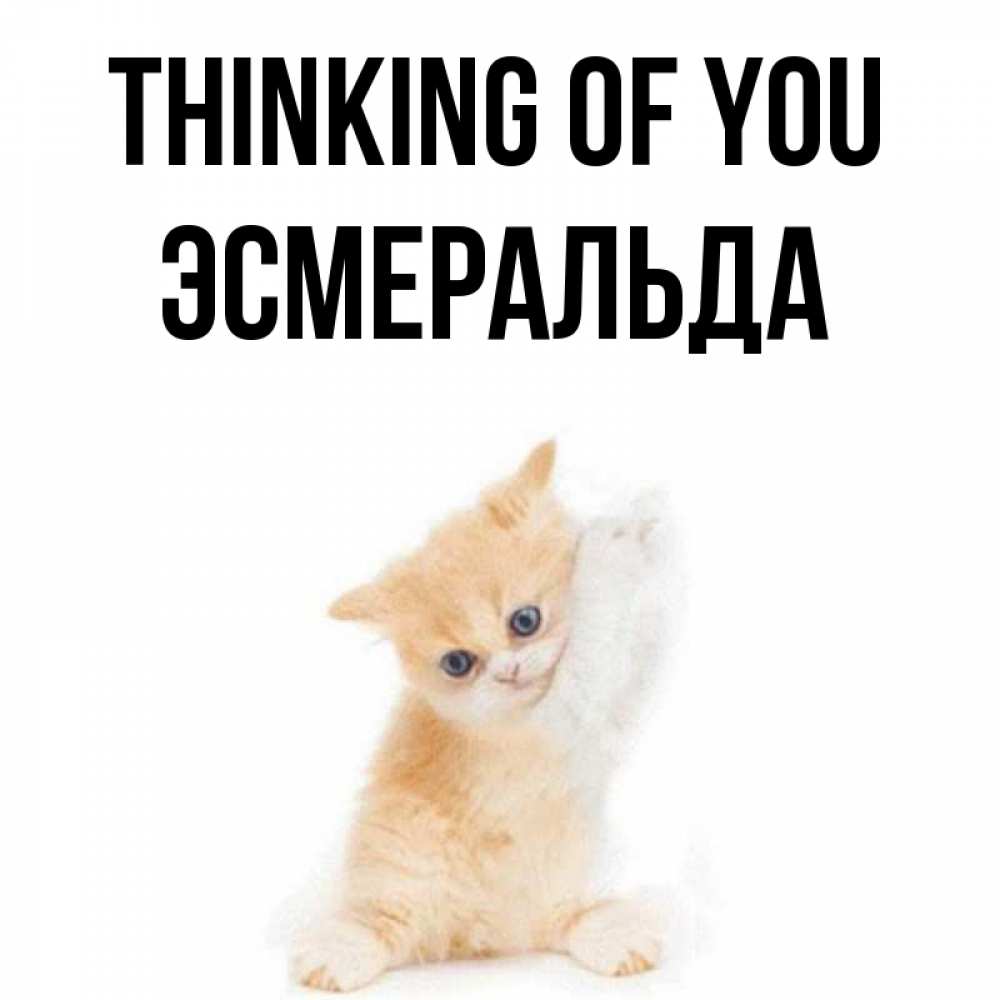 Greetings card с именем, Эсмеральда Thinking of you зверушки и милота Greetings with text for free download 