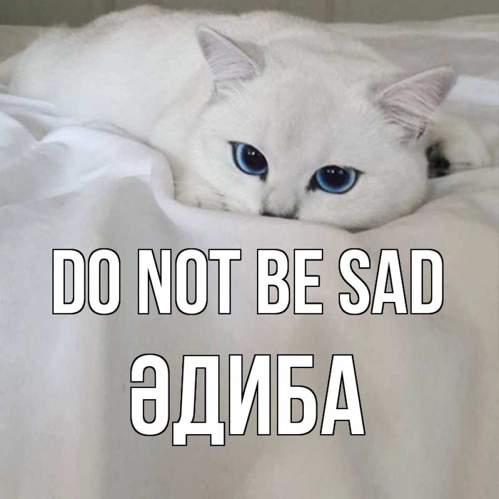 Greetings card с именем, ӘДИБА Do not be sad белый кот с голубыми глазами на белоснежной кровати Greetings with text for free download 