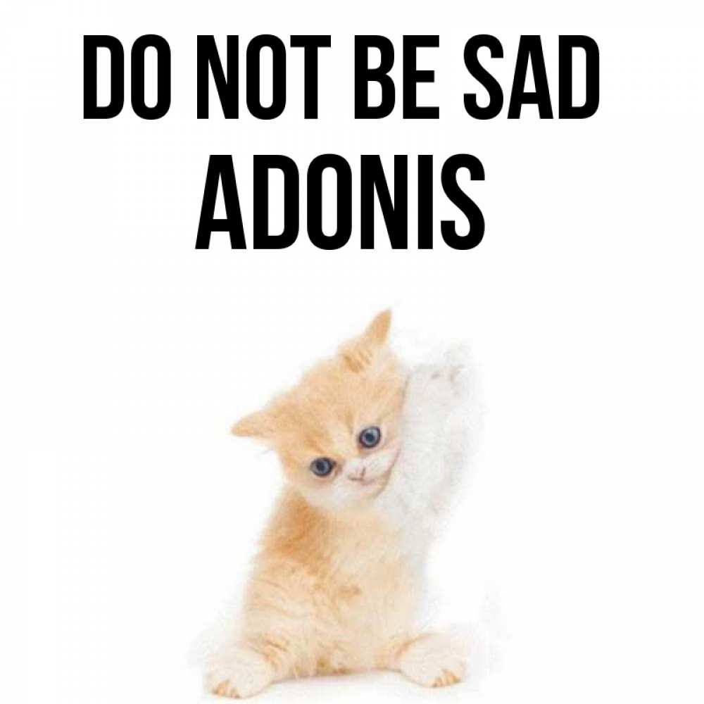 Greetings card с именем, Adonis Do not be sad просящий кот Greetings with text for free download 