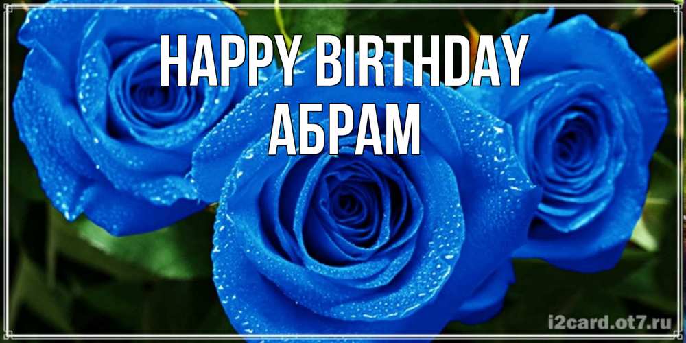 Greetings card с именем, Абрам Happy Birthday розы с синим цветом Greetings with text for free download 