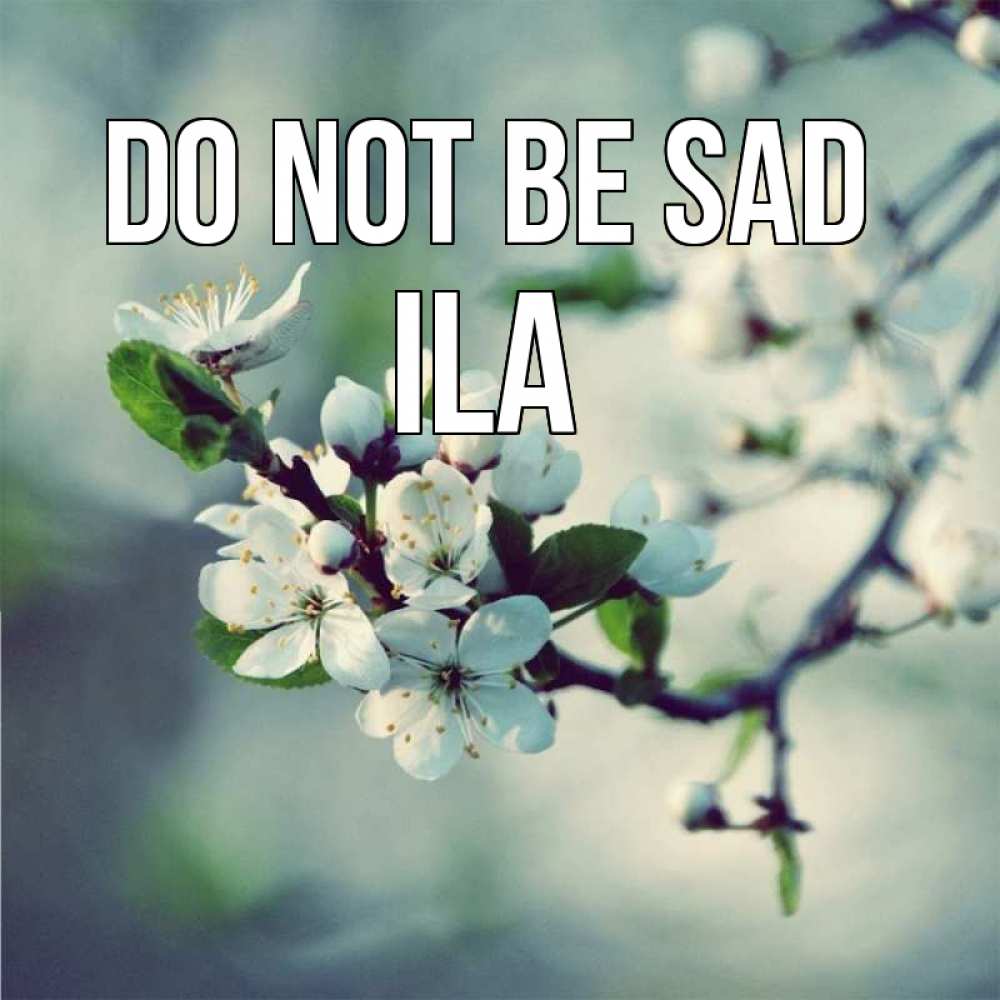 Greetings card с именем, Ila Do not be sad яблоня в цвету 1 Greetings with text for free download 