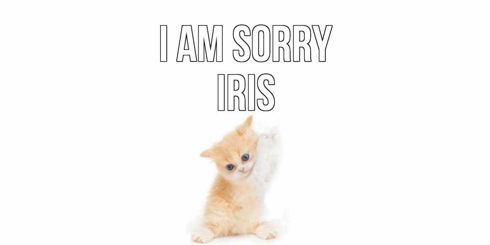Greetings card с именем, Iris I am sorry кот Greetings with text for free download 